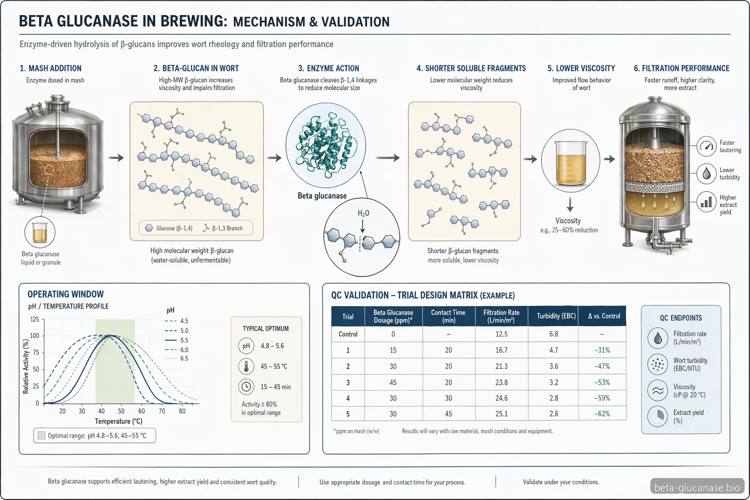 beta glucanase enzyme brewing process control diagram maps mash addition, beta-glucan breakdown, and wort flow