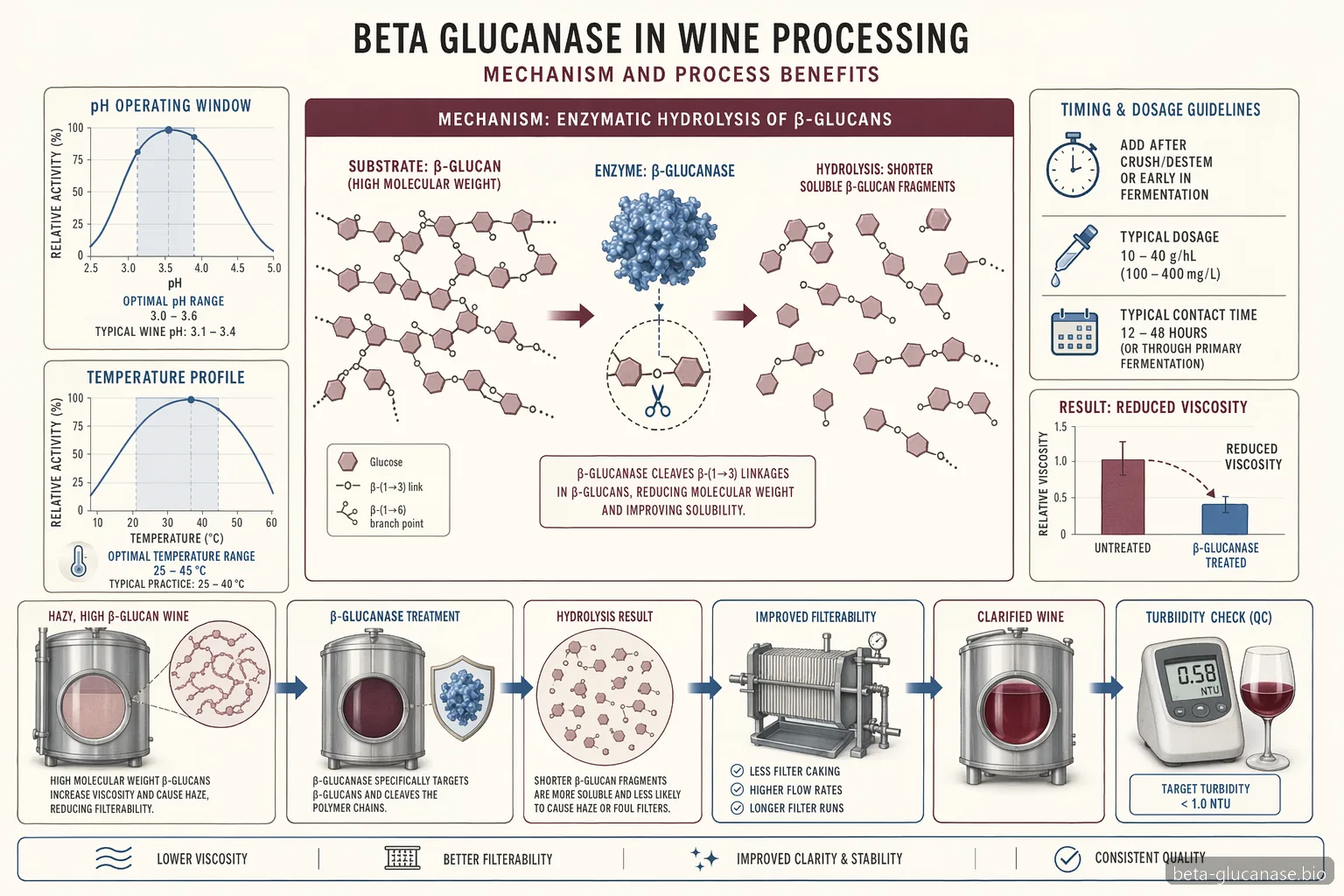 beta glucanase wine process diagram mapping pH, temperature, reaction breakdown, filtration flow, and turbidity QC