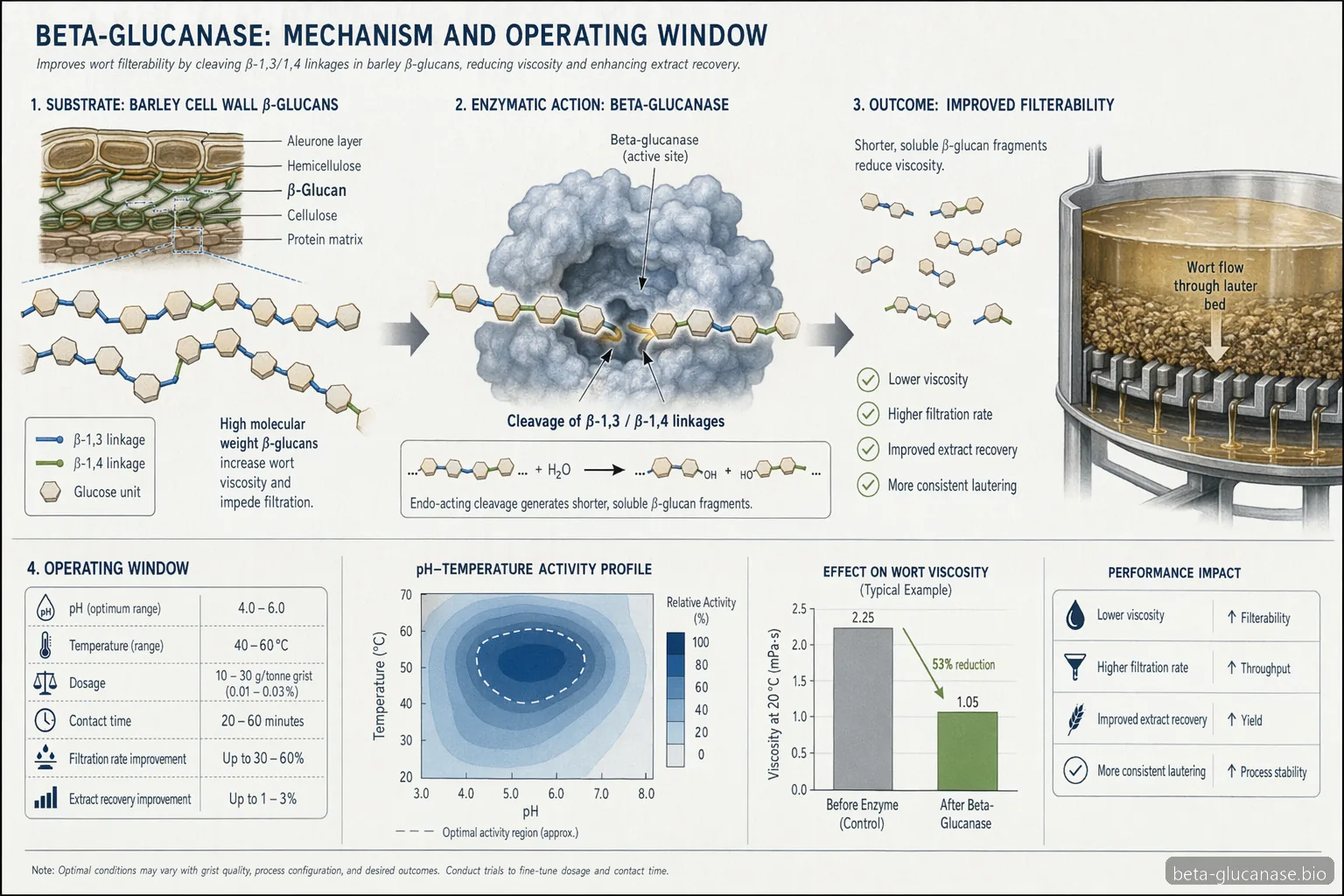 what is beta glucanase brewing mechanism: beta-glucan chains are cut into sugars with pH, temperature and dosage callouts